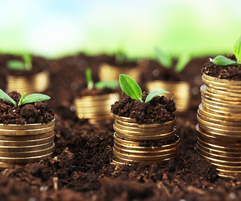 Business concept: golden coins in soil with young plants on nature background